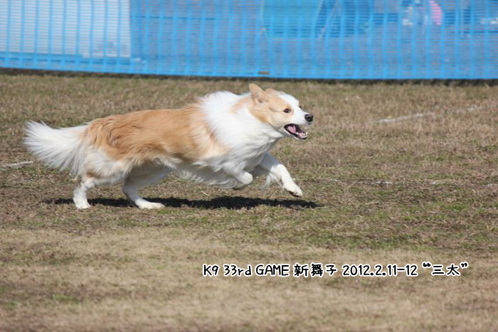 ◆*奇跡*K9 33rd GAME 新舞子 2012.2.11-12_a0208719_1359146.png