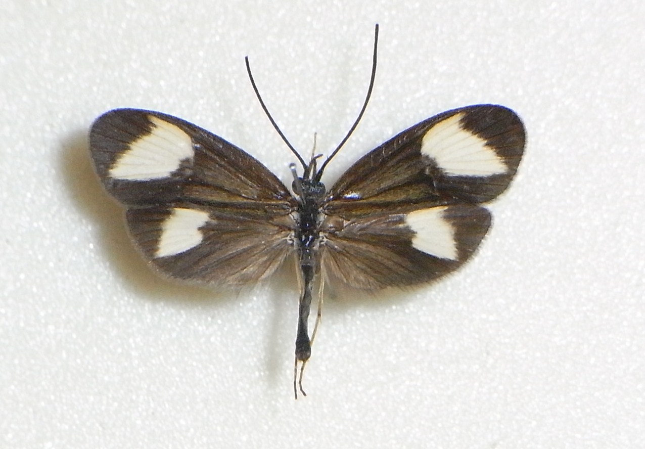 f0181821_173455.jpg