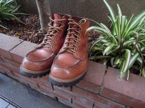 OLD REDWING irish setter 1991_d0217535_1185650.jpg