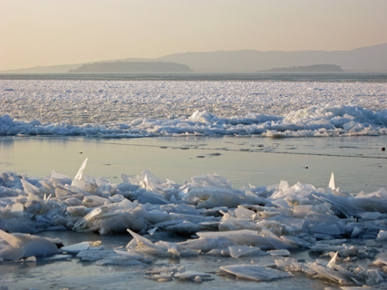 バレンタイン2012_f0234936_2339751.jpg