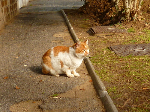 d0170140_21405644.jpg