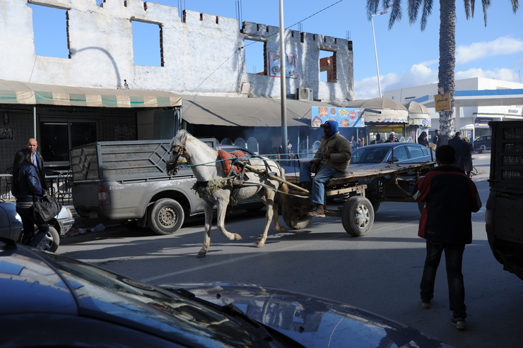 　北アフリカ・革命・イスラミック・・・チュニジア⑤（カイラワーンの市街地 を歩く）_b0233441_2018333.jpg