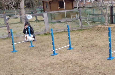 e0028446_22365836.jpg
