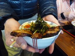 冬の諏訪湖一周ウォーク_f0019247_2348856.jpg