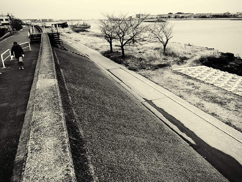 東京散歩 - GRDで撮るモノクロ風景 Part.5 -_a0155255_23404197.jpg