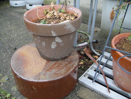c0108460_14101299.jpg