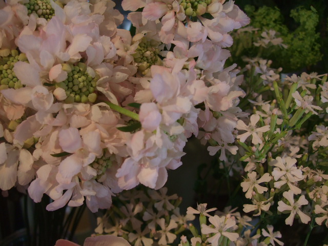 f0049672_17275961.jpg