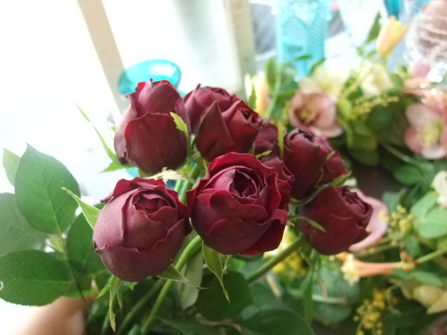 f0049672_17283520.jpg