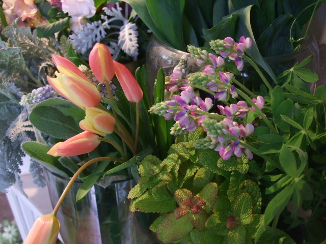 f0049672_17291839.jpg