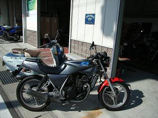 a0064474_9264610.jpg