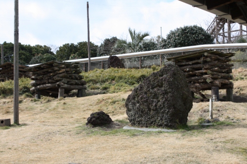 伊豆大島へ　その２　「りす園」 編_b0207284_5131587.jpg