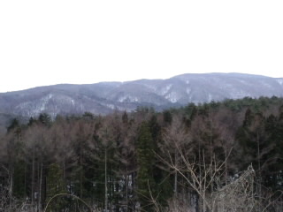d0027486_015533.jpg