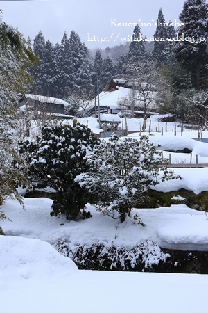 雪景色・・・棚田と茅葺屋根_d0148187_2120221.jpg