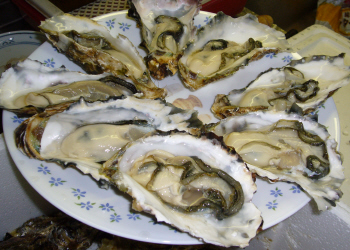 c0125996_211698.jpg