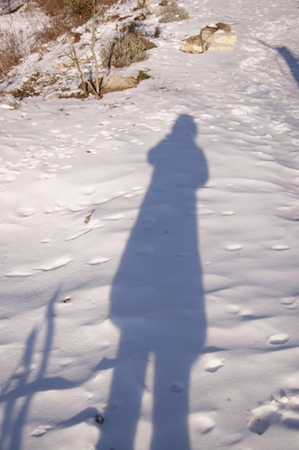 雪の下にはパン～２月の畑_f0106597_22454368.jpg