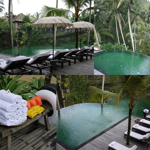 12 バリ旅行 コマネカアットラササヤンのプール お部屋 Life Is Delicious 12 バリ旅行 コマネカアットラササヤンのプール お部屋 Life Is Delicious