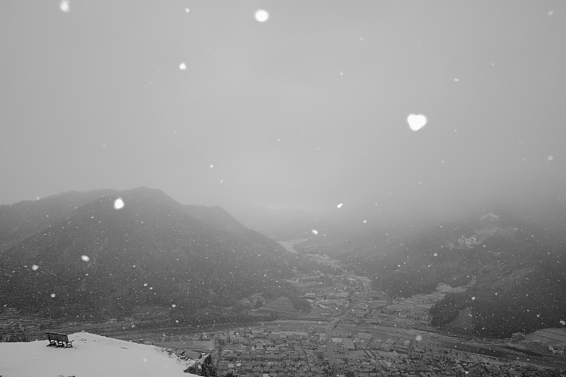 f0210808_093121.jpg