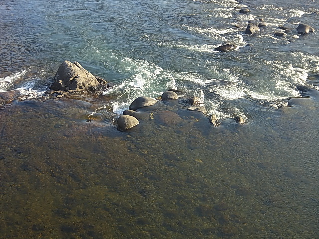 e0256122_16442118.jpg