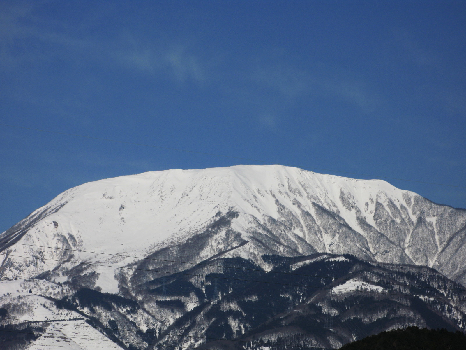 雪の伊吹山_b0164726_22225711.jpg