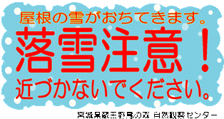 b0189727_12455930.gif