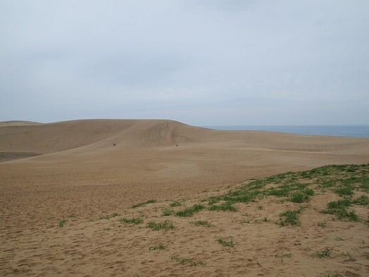 f0013029_8292394.jpg