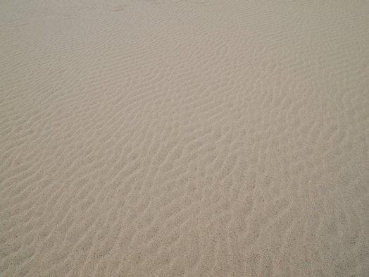 f0013029_8293188.jpg