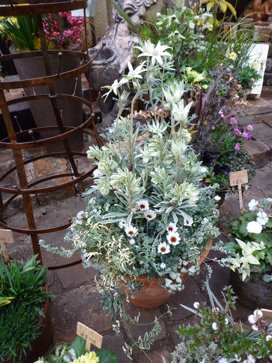 有名店視察ツアー_a0228333_18392982.jpg