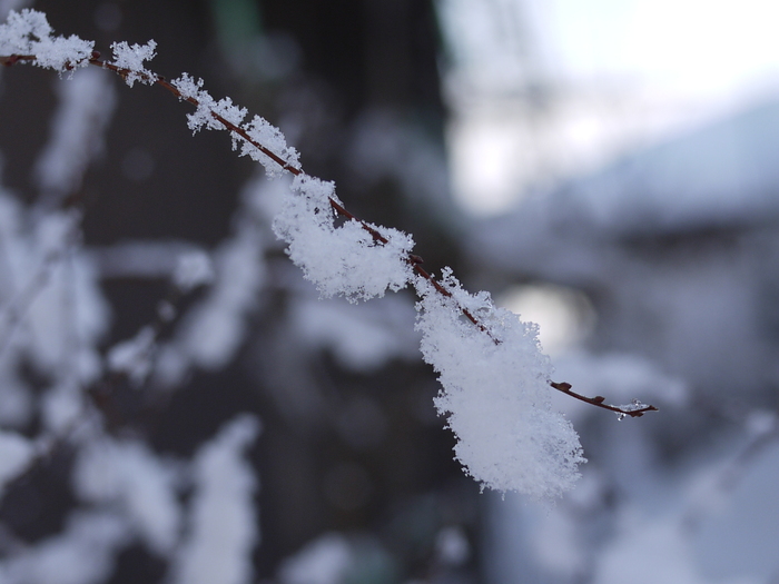 雪と氷　＆　塩の雪だるまと塩スイーツ_e0224637_0512647.jpg