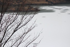 e0173743_22271992.jpg