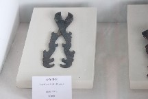 e0173743_22321237.jpg