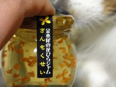 あったか温水プール_e0195743_1411159.jpg
