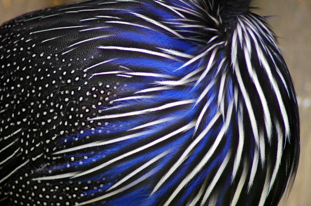 d0186245_24469.jpg