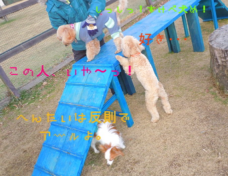 e0028446_0123653.jpg
