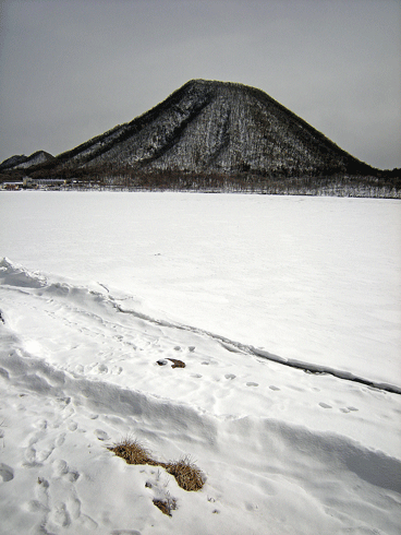 a0001354_203242.gif