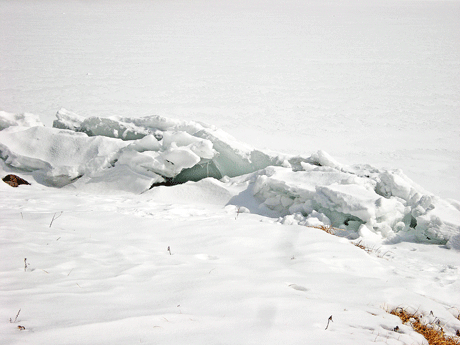 a0001354_2044348.gif