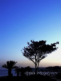 f0205860_9221213.jpg