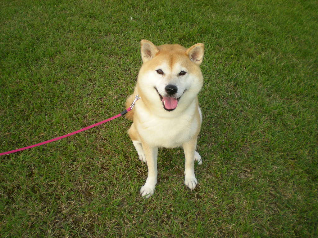 ２０１２年２月１６日（木）鴨川でお外ご飯！_f0060461_1537152.jpg