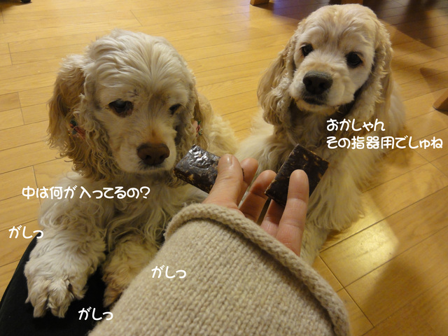 f0218182_22103410.jpg
