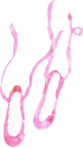 a0183002_13581121.gif