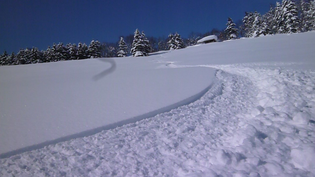 a0248508_14141153.jpg