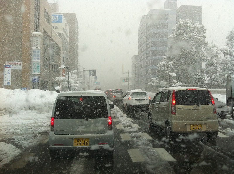 朝から一日吹雪なのです。_e0181908_23401671.jpg