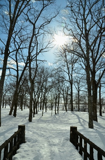 2012年2月17日（金）：快の晴[中標津町郷土館]_e0062415_20244979.jpg