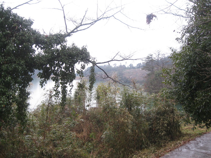 雨の冒険散策☆_a0125419_16432998.jpg