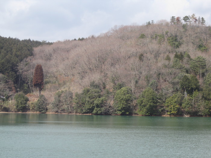 再開の宴で~☆_a0125419_20101863.jpg
