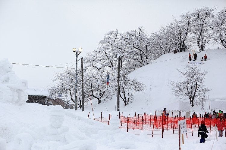 いいやま雪まつり　～長野県飯山市～_d0170525_23363730.jpg
