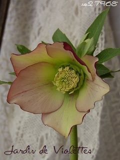 e0118257_17574636.jpg