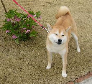 2月17日(金)今日は水彩画三昧!_f0060461_18523950.jpg