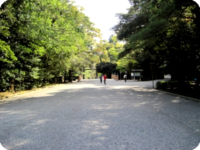 e0062884_19614.jpg