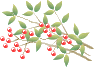 c0132387_0331447.gif