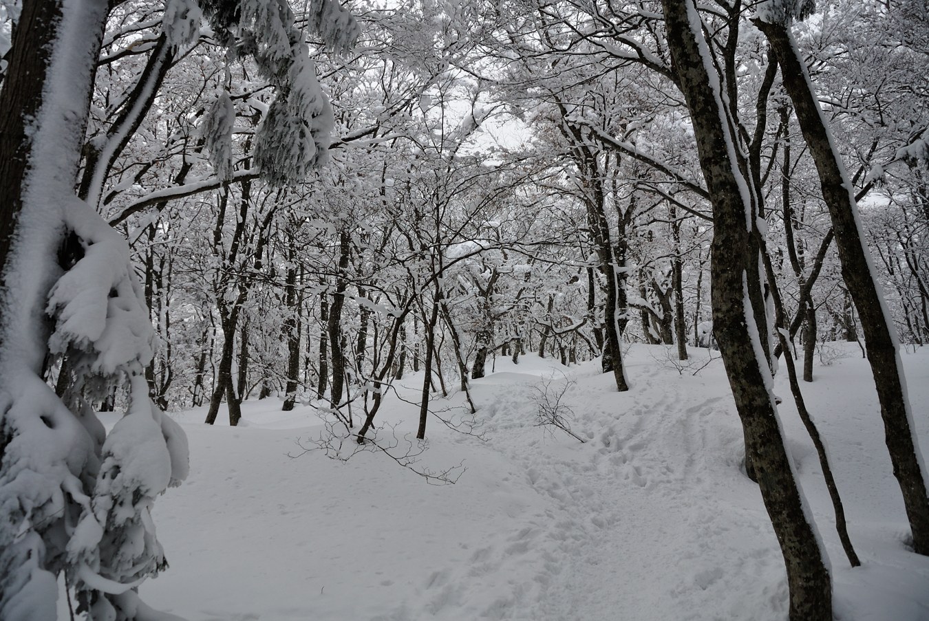 c0138991_22125292.jpg